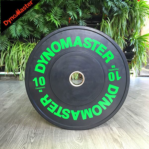 Economic Bumper Plate 10KG