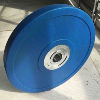 PU Bumper Plate  45LB