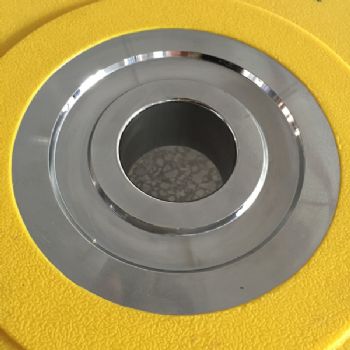 PU Bumper Plate  35LB