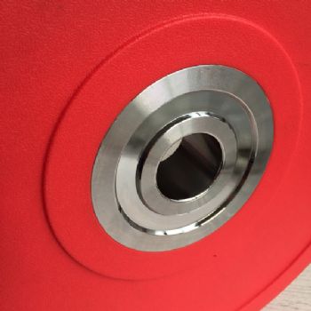 PU Bumper Plate  55LB