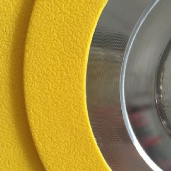 PU Bumper Plate  35LB