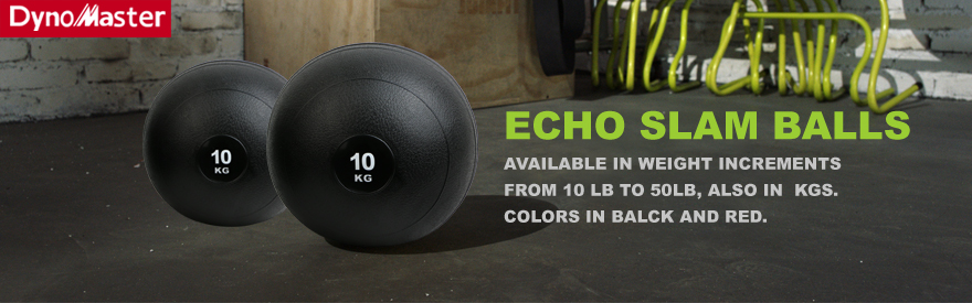 dynomaster echo slam ball  (2).jpg